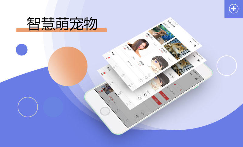 <b>萌宠小程序</b>
